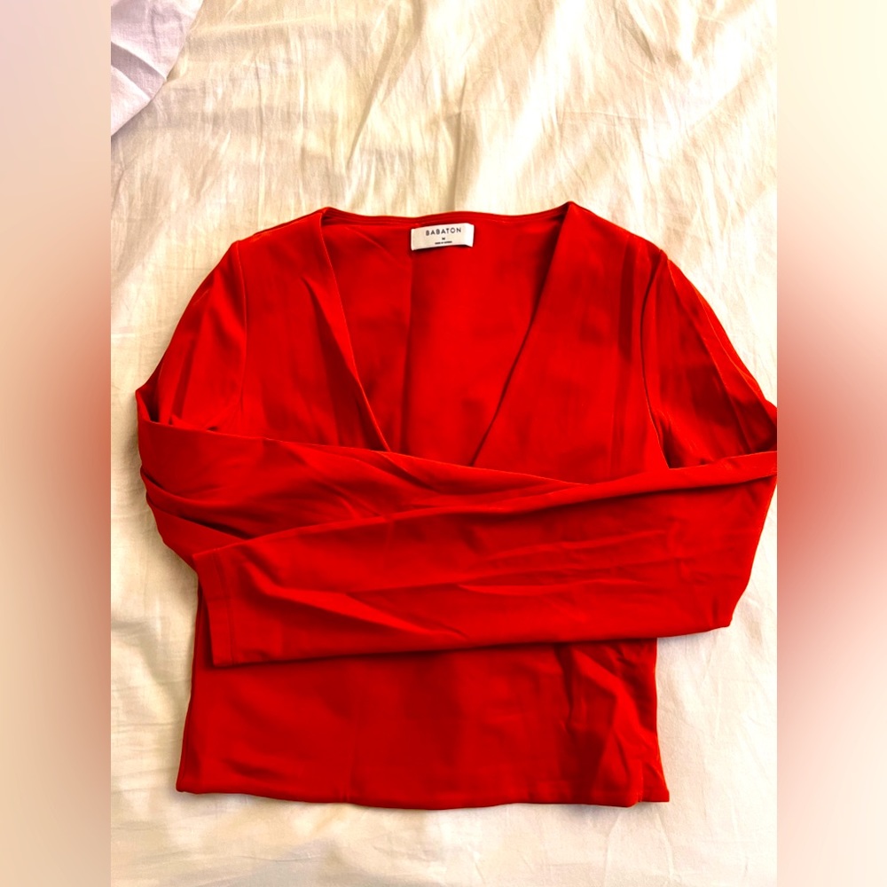 Aritzia Babaton Contour V neck long sleeve